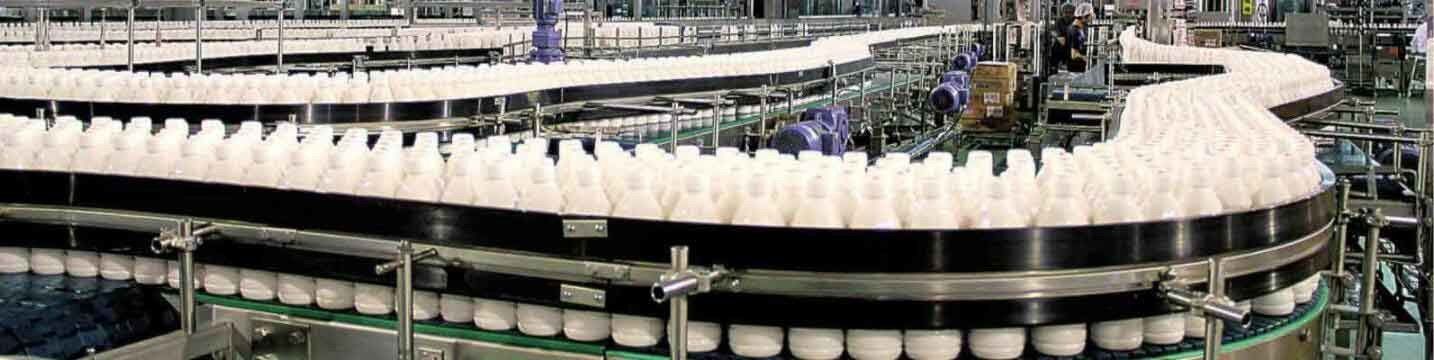 Ligne de production laitière