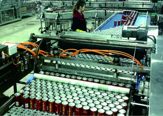 Chine En poussant le type Palletizer automatique usinez le chargement/le déchargement de cage de l'équipement fournisseur