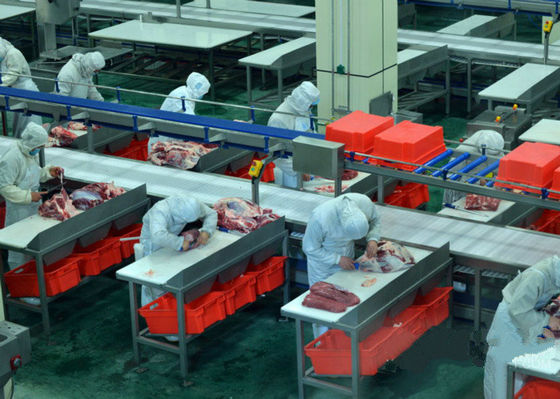 Chine La ligne fendue de production de viande de boeuf/chaîne de fabrication 100-300 bétail par heure expédient fournisseur