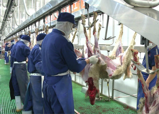 Chine Ligne fendue abattage de production de viande de mouton de chèvre donnant le type de traitement entier fournisseur