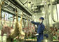 Ligne fendue abattage de production de viande de mouton de chèvre donnant le type de traitement entier fournisseur