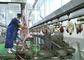 Ligne fendue abattage de production de viande de mouton de chèvre donnant le type de traitement entier fournisseur