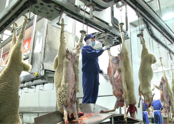 Chine Ligne fendue de production de viande d'agneau, ligne une transformation plus ultérieure de production industrielle fournisseur