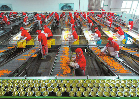 Chine Ligne de production alimentaire en boîte par tasse en plastique, installation de fabrication de fruits et légumes fournisseur
