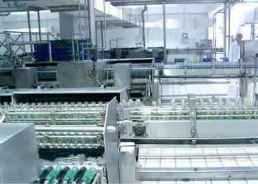 Chine Le verre a mis la ligne en bouteille de production laitière de noix/arachide d'installation de fabrication de boisson fournisseur