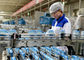 Ligne équipement industriel de production laitière de bactéries d'acide lactique de yaourt/machine fournisseur